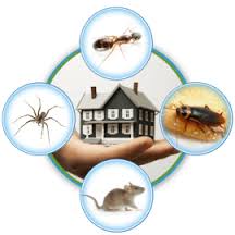 Information to keep your home Bug Free